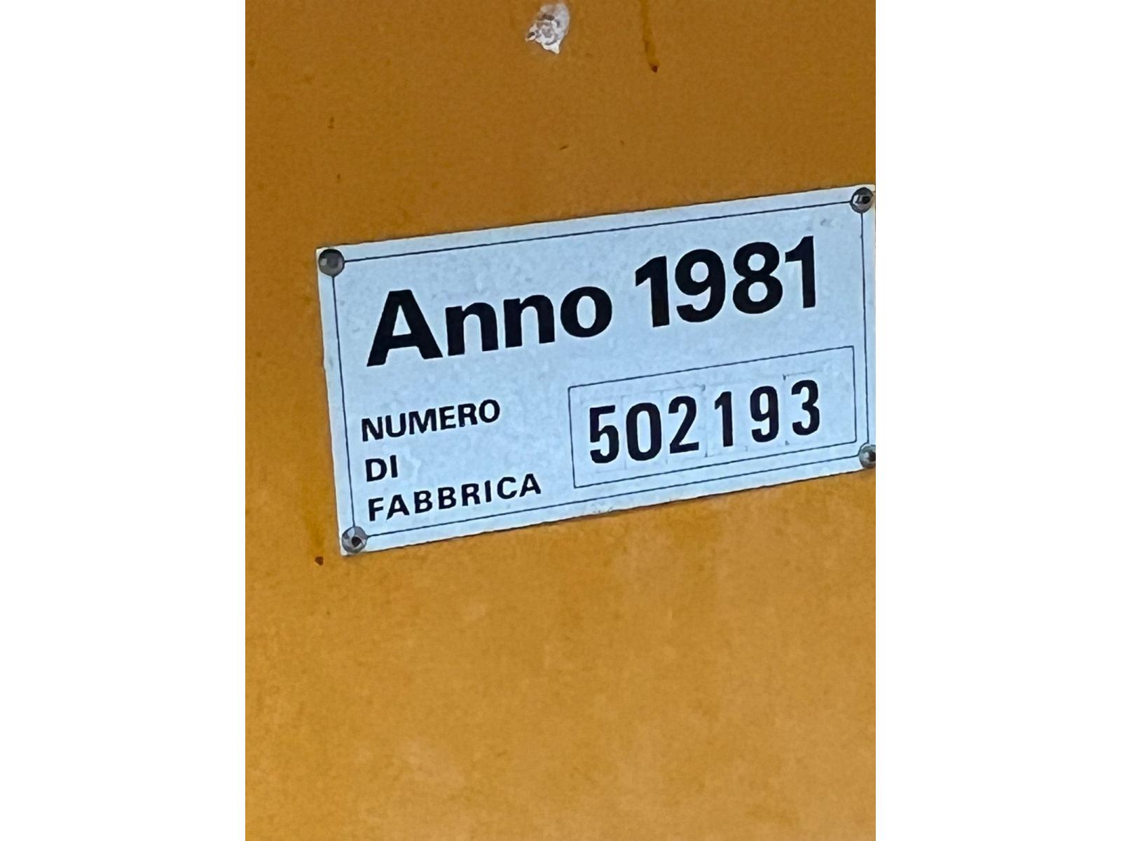 06 CARRIPONTE BITRAVE DEMAG DA 6.3 A 10 TON