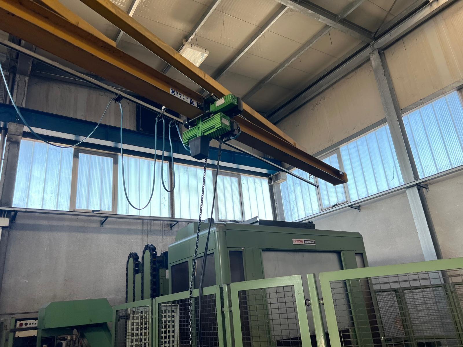 Gru a colonna omis 1000 kg