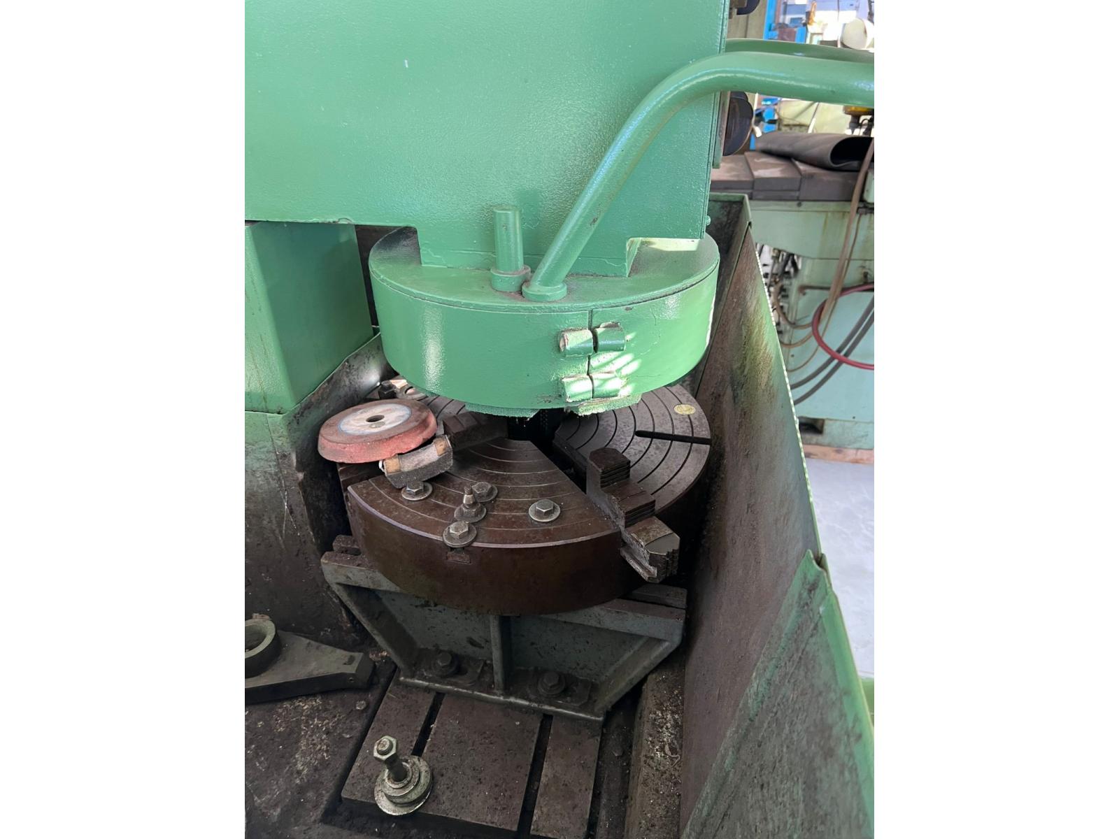 LAPIDELLO PER TESTATE USATO