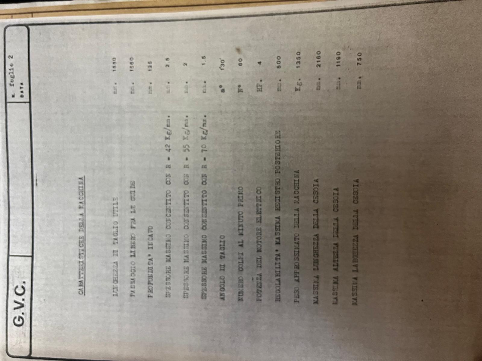 LINEA DI TAGLIO BELGIUS