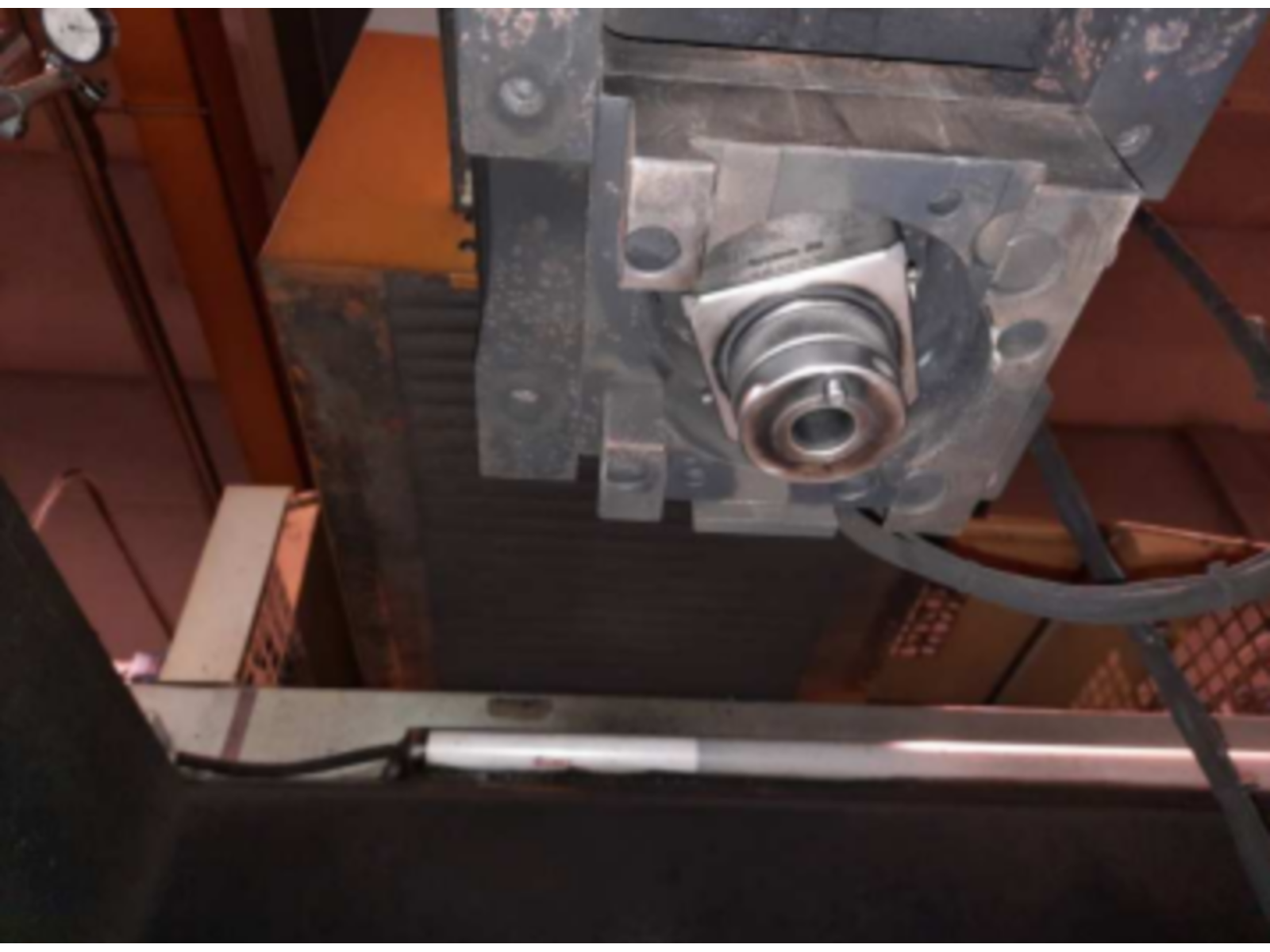 Liquidazione in Bologna