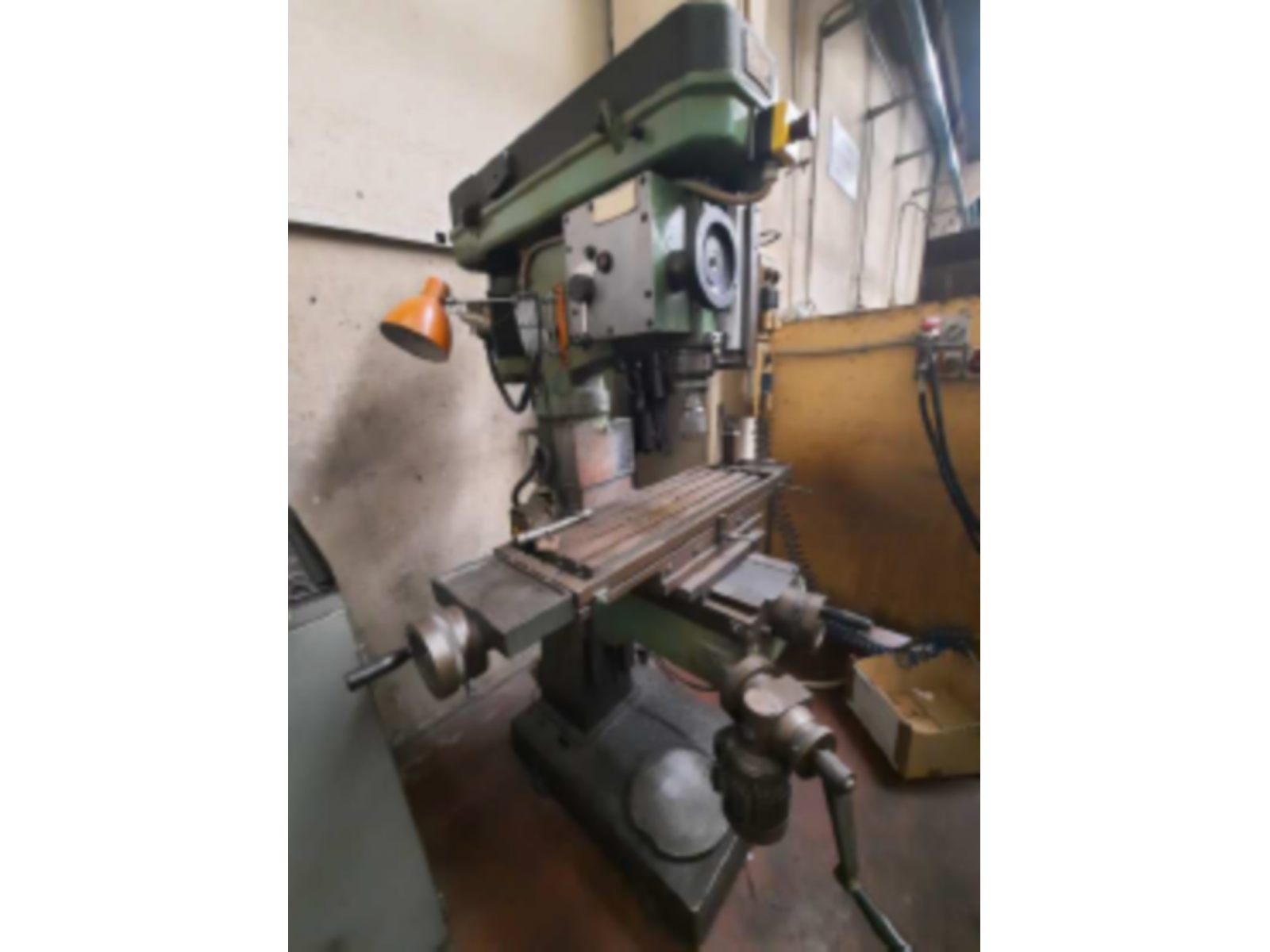 Liquidazione in Bologna