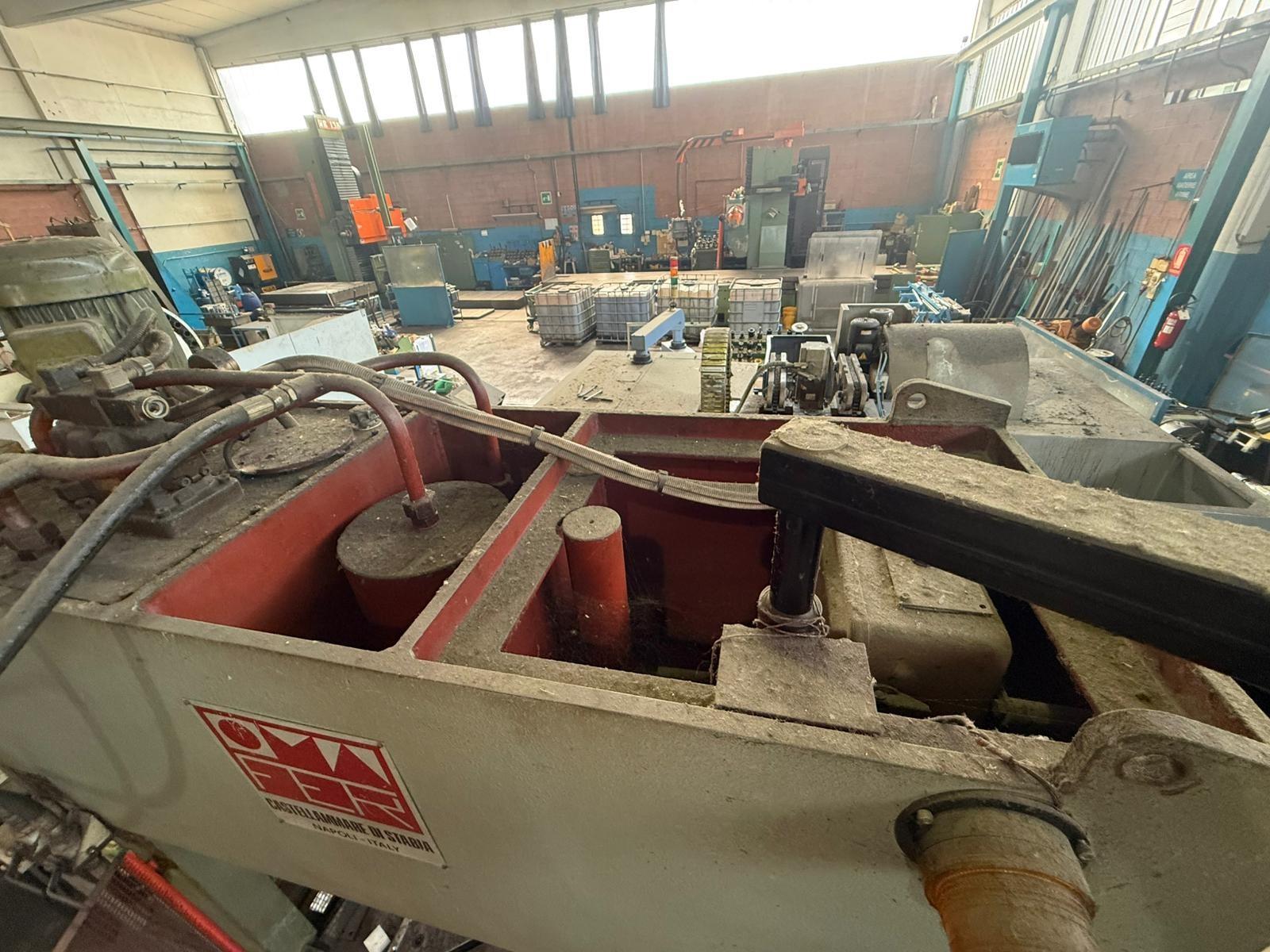 PRESSA IDRAULICA OMAFER 100 TON