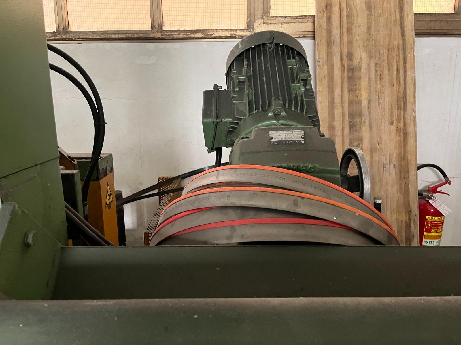 SEGATRICE RUSCH 420 A