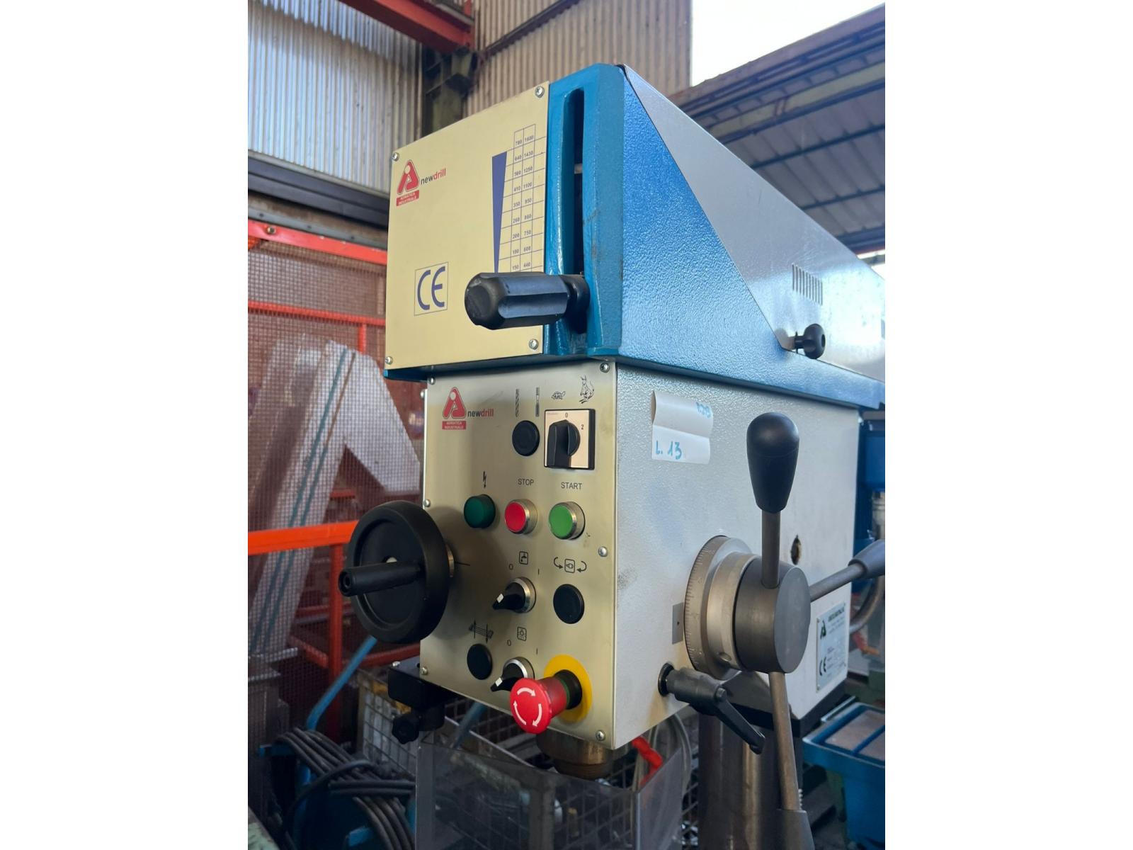 TRAPANO A COLONNA ADRIATICA