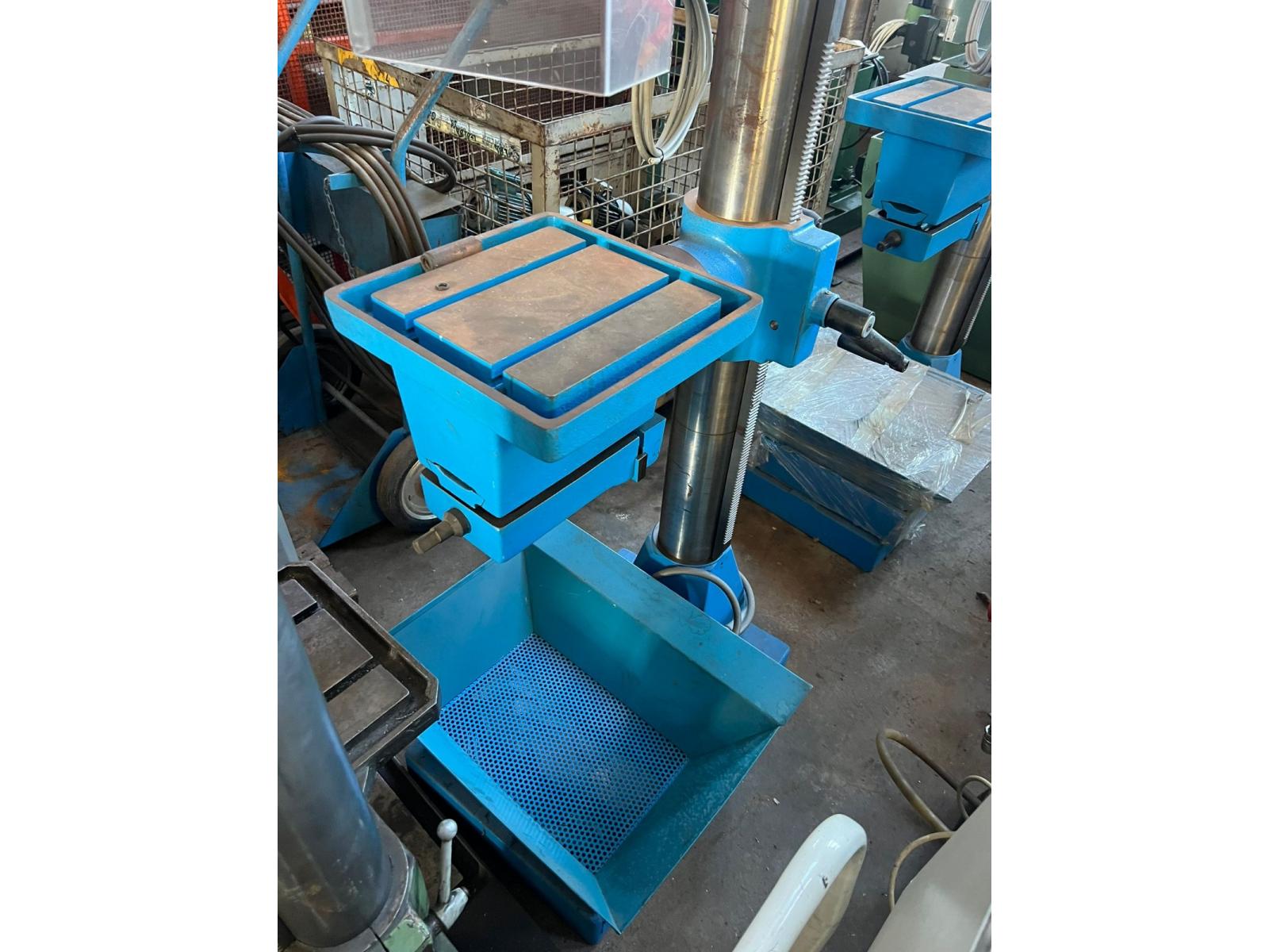 TRAPANO A COLONNA ADRIATICA